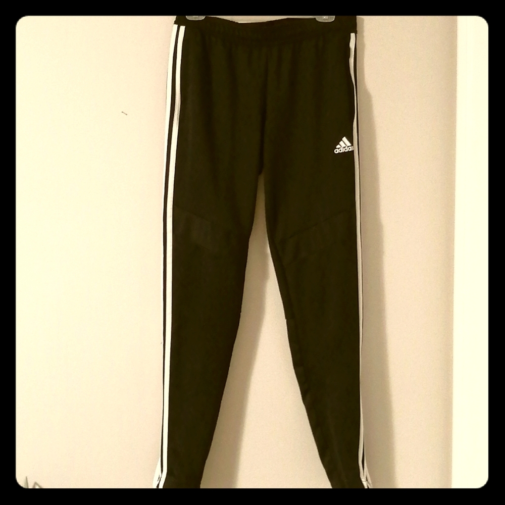 Adidas TIRO 19 training pants